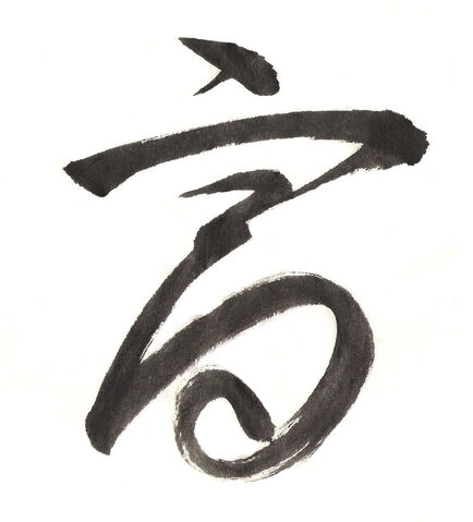 File:IRISabundance.jpg