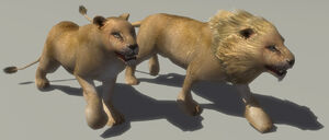 Lions