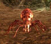 Doom Spider