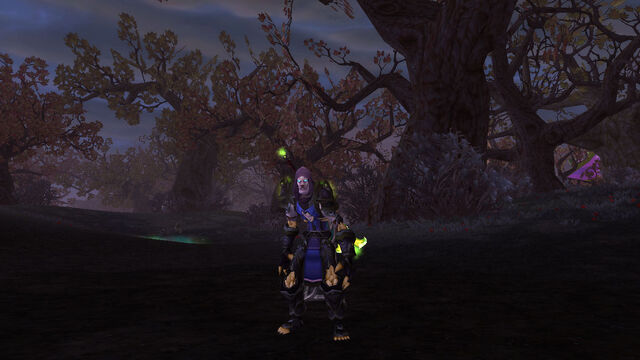 File:WoWScrnShot 120511 070022.jpg
