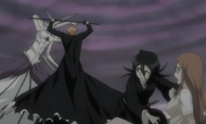 Rukia protects Orihime