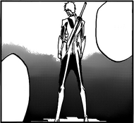 Ichigo fullbring rear
