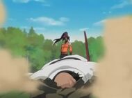 Yoruichi vs Yammy