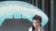 Aizen reveals his plans