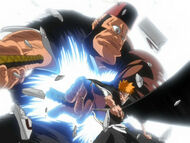 Ichigo Defeats Jidanbo