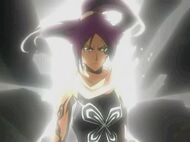 Yoruichi shunko