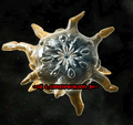 Thumbnail for version as of 20:52, December 3, 2007