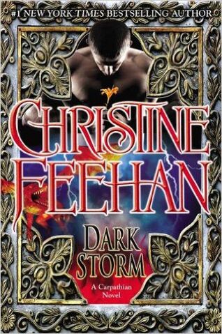 File:Dark storm hardcover.jpg
