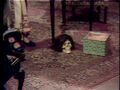 Thumbnail for version as of 09:42, June 16, 2012