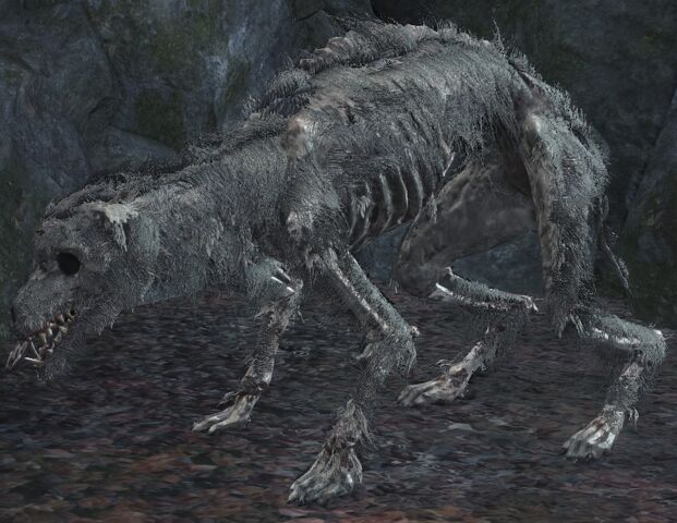 File:Starved hound.jpg