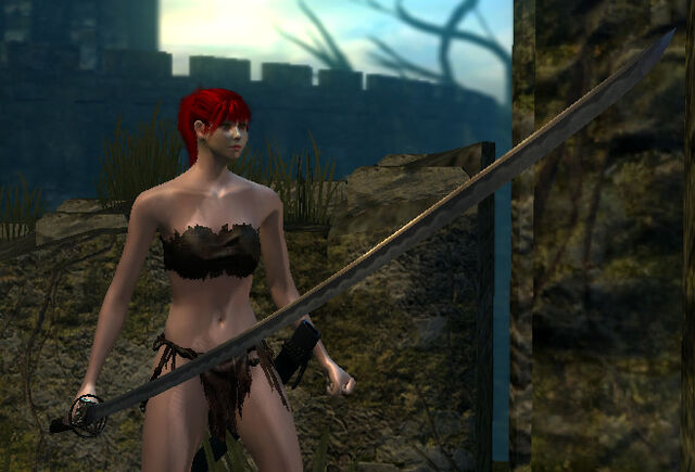 File:Washing pole.jpg