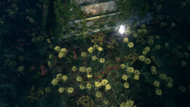 File:Hornet location.jpg