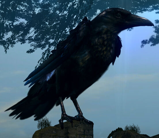 File:Giant crow02.jpg