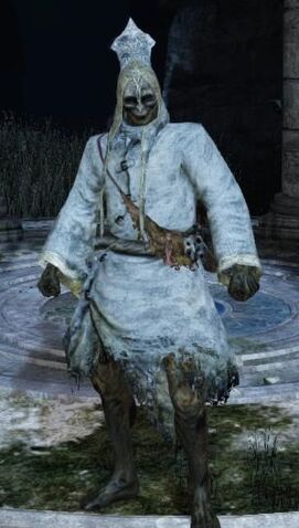File:White Hollow Mage Set.jpg