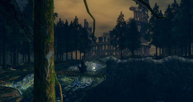 File:Oolacile02.jpg