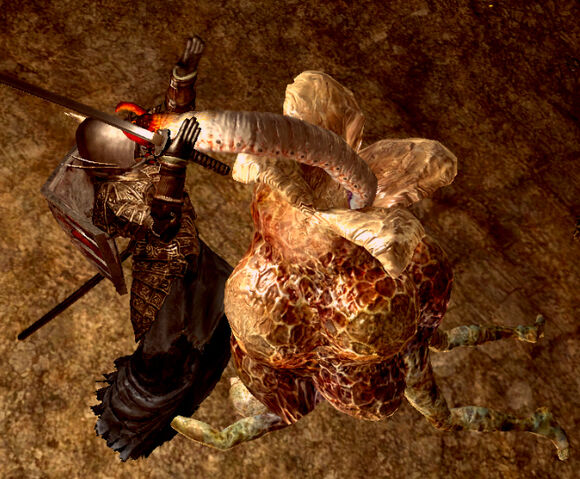 File:Egg burdened grab.jpg