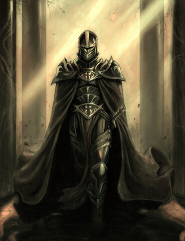 File:193512-paladin.jpg