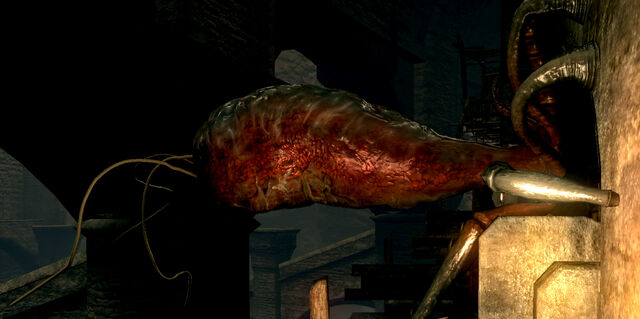 File:Parasitic wall hugger02.jpg