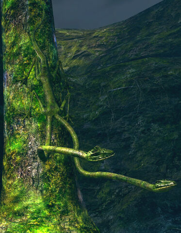 File:Tree lizard.jpg