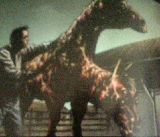 File:Mutant Horse.jpg