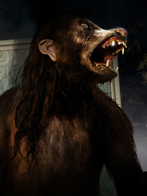 File:Profile-wolfman.jpg