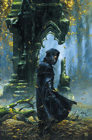 File:Waylander III Hero in the Shadows - Didier Graffet.jpg