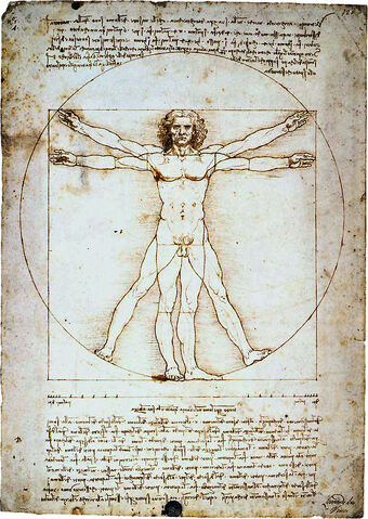 File:Vitruvian.jpg