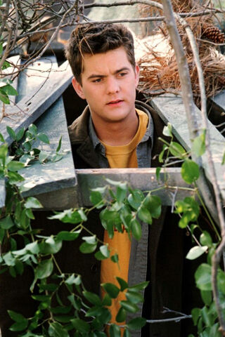 File:318pacey.jpeg