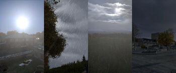 Weather