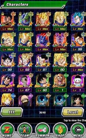File:Dokkan1234567890987654321.jpg