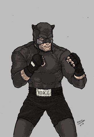File:Wildcat.jpg