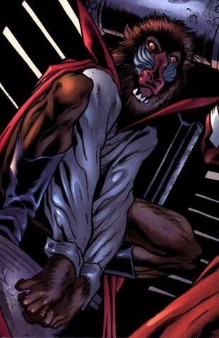 File:Mandrill.jpeg