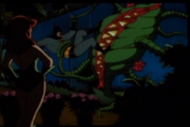Venus fly trap