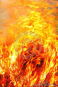 Fire2