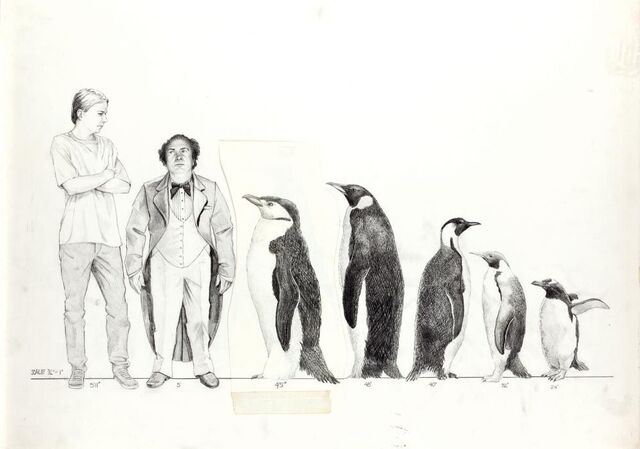 File:Penguinca4.jpg