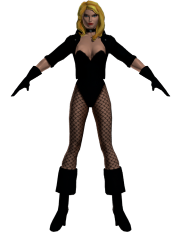 File:CharModelBlackCanary.png