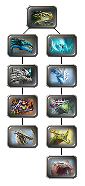 File:Dragon Order1.jpg