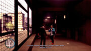 Holland Nights.jpg