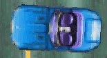 Panther1.jpg