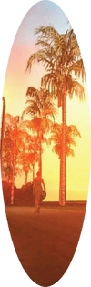 Surfboards, SA