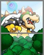 Bowser gross.jpg