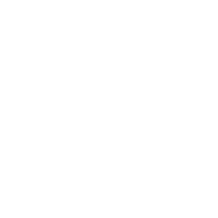 IconPerks temp1.png