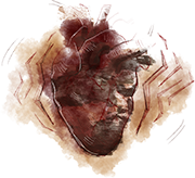 Dbd-journal-heartbeat.png