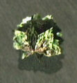 Thumbnail for version as of 20:10, June 7, 2010