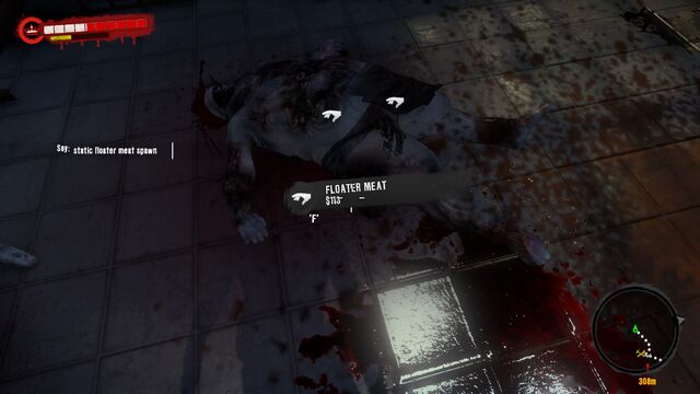 File:Floater Meat static spawn 1.jpg