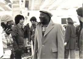 Muddy Waters (blues musician)