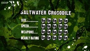 S3 DR saltwater crocodile