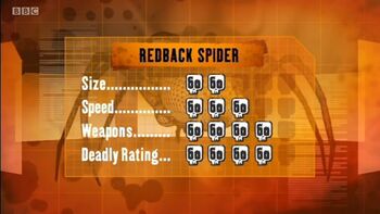 S1 DR black widow
