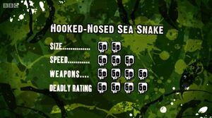 S3 DR hooked-nosed snake