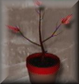 Thumbnail for version as of 22:12, April 5, 2011